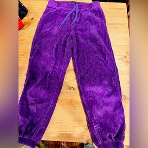BDG Urban Outfitters corduroy Cargo Joggers Purple
